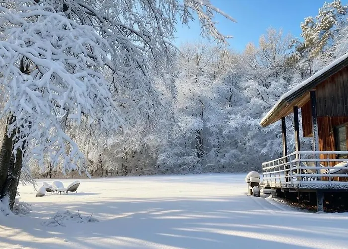 La D'amae * Marche-en-Famenne